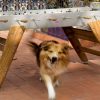RS3 Wood foosball table - Image 12