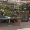 RS Stationary ping pong - Image 7